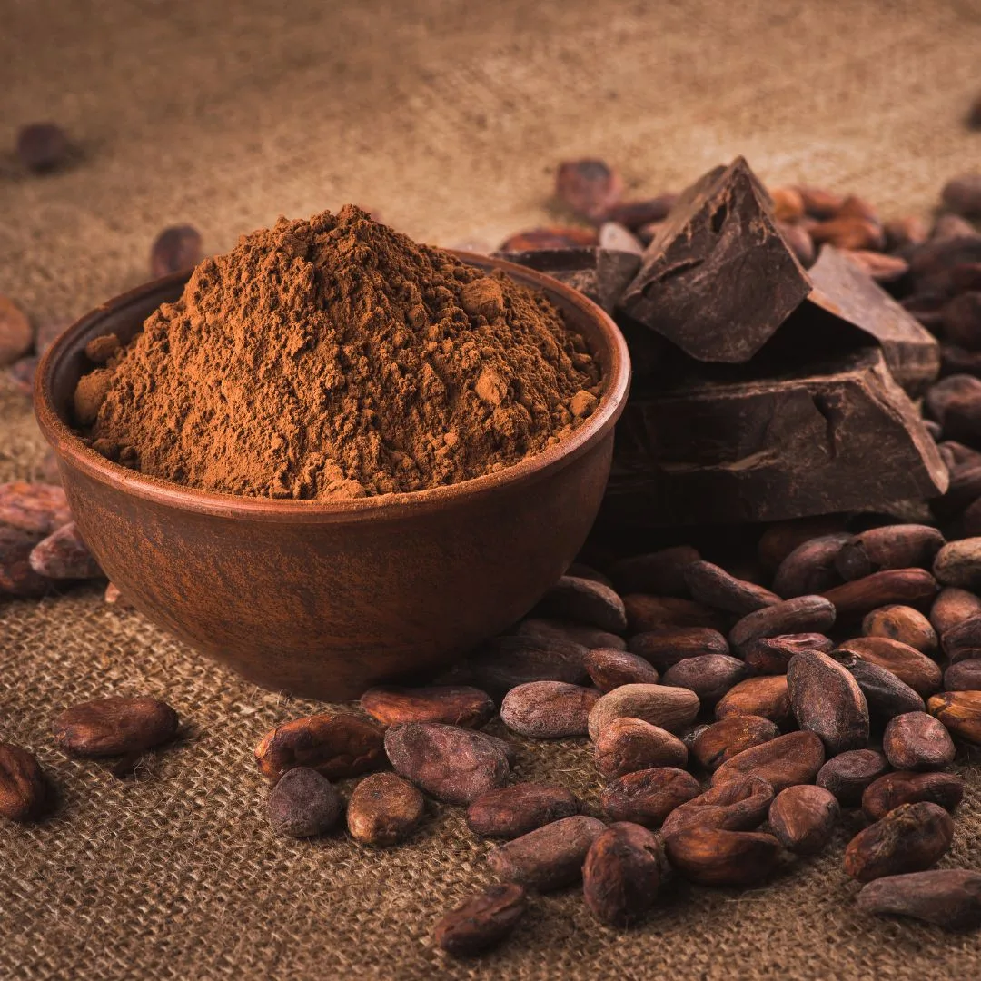 Collagène Cacao : Préparation riche en protéines au cacao