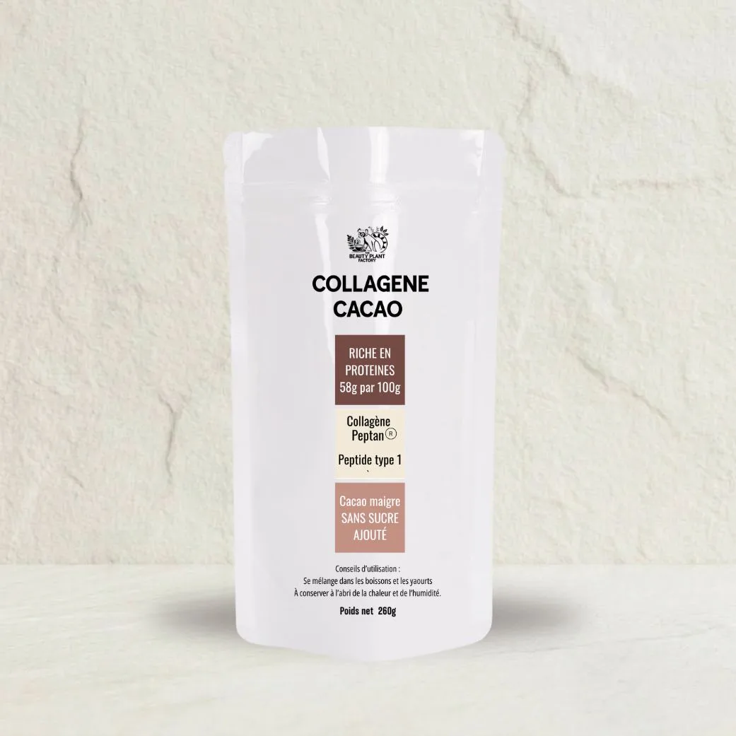 Collagène Cacao : Préparation riche en protéines au cacao
