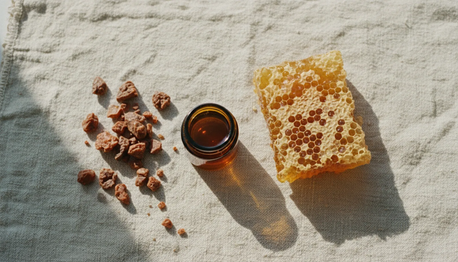 Propolis : bienfaits et vertus